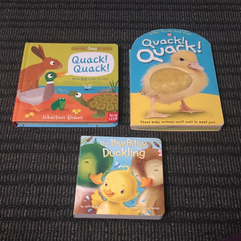🚚 Learning Books with Ducks in Them and other Animals Set
